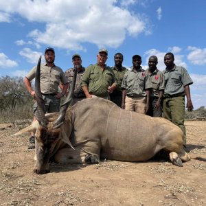 Eland Hunt Zimbabwe