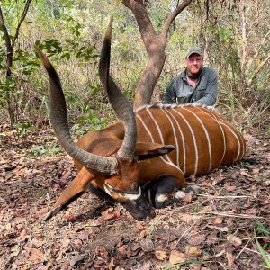 Bongo Hunt Central African Republic C.A.R.