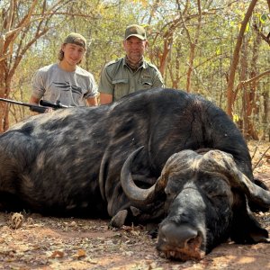 Buffalo Hunt Zimbabwe