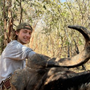 Buffalo Hunt Zimbabwe