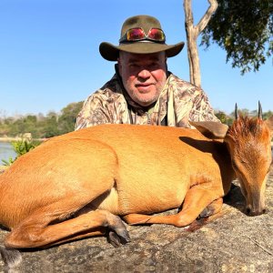 Red Duiker Hunt Mozambique