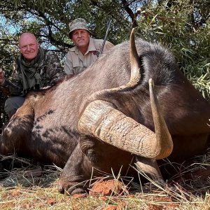 Buffalo Hunt South Africa