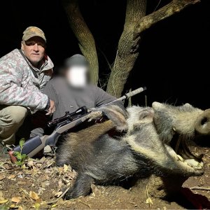 Bushpig Hunt South Africa