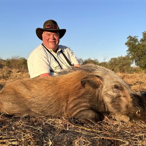 Bushpig Hunt