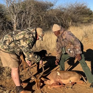 Impala Hunting Namibia