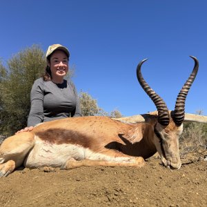 Springbuck Hunting Namibia