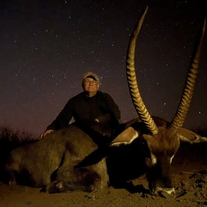 Waterbuck Hunting Namibia