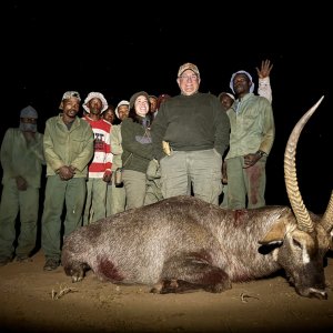 Waterbuck Hunting Namibia