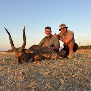 Bushbuck Hunt Zimbabwe