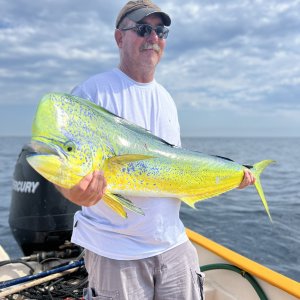 Dorado Fishing