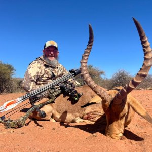 Impala Bow Hunt South Africa