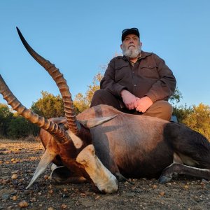 Blesbok Bow Hunt South Africa