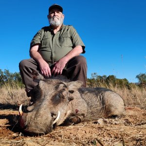 Warthog Hunt South Africa