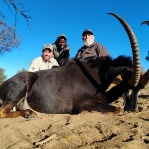 Sable Hunt South Africa