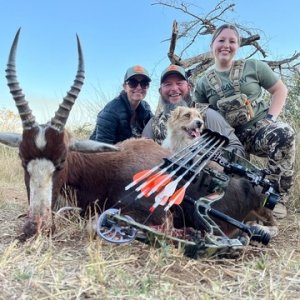 Blesbok Bow Hunt South Africa