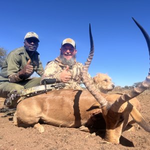 Impala Bow Hunt South Africa