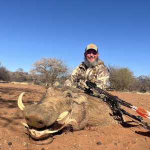 Warthog Bow Hunt South Africa