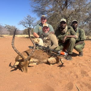 Impala Bow Hunt South Africa