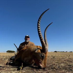 Waterbuck Hunt South Africa