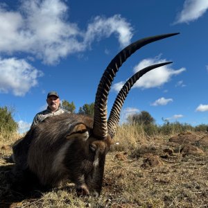 Waterbuck Hunt South Africa