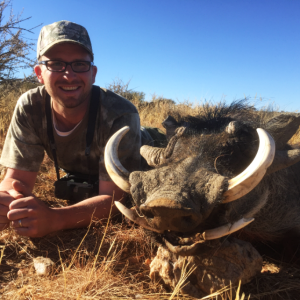 Warthog Hunt Namibia