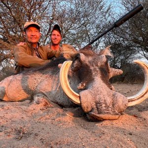 Warthog Hunt Eastern Cape South Africa