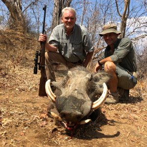 Warthog Hunting