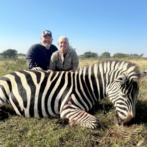 Zebra Hunt Eastern Cape South Africa