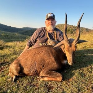 Bushbuck Hunt Eastern Cape South Africa