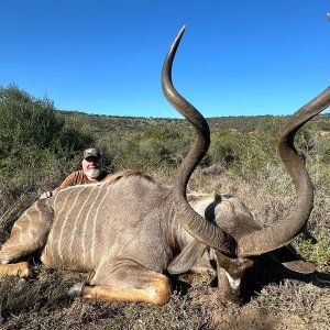 Kudu Hunt Eastern Cape South Africa