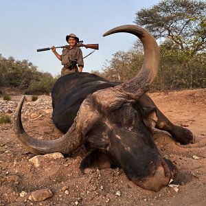 Buffalo Hunt South Africa