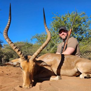 Impala Hunt Limpopo South Africa