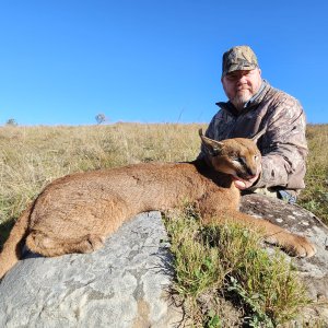 Caracal Hunt East London South Africa