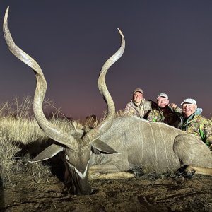 Kudu Hunt South Africa