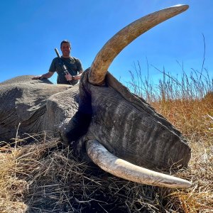 Elephant Hunt South Africa