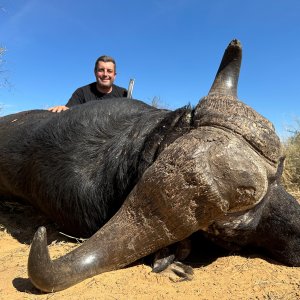 Cape Buffalo Hunt South Africa