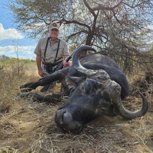 Buffalo Hunt South Africa