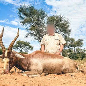 Blesbok Hunt South Africa