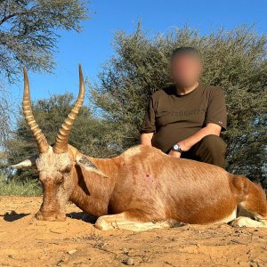 Blesbok Hunt South Africa