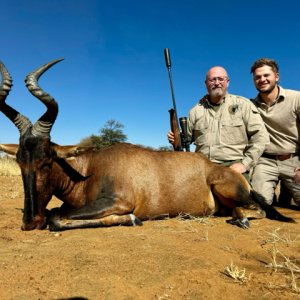 Red Hartebeest Hunt Namibia