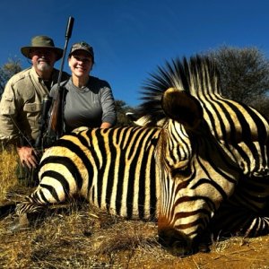 Zebra Hunt Namibia