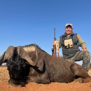 Black Wildebeest Hunt South Africa