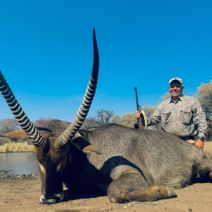 Waterbuck Hunt South Africa