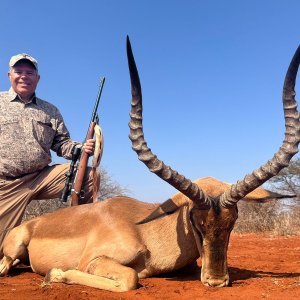 Impala Hunt South Africa