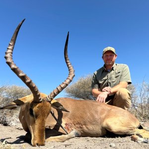 Impala Hunt Botswana