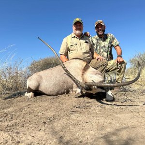 Unusual Gemsbok Hunt Botswana