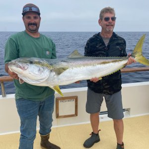 Fishing California Yellowtail