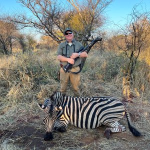 Zebra Hunt South Africa