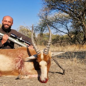 Blesbok Hunt South Africa