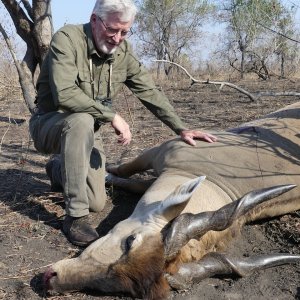 Eland Hunt Mozambique